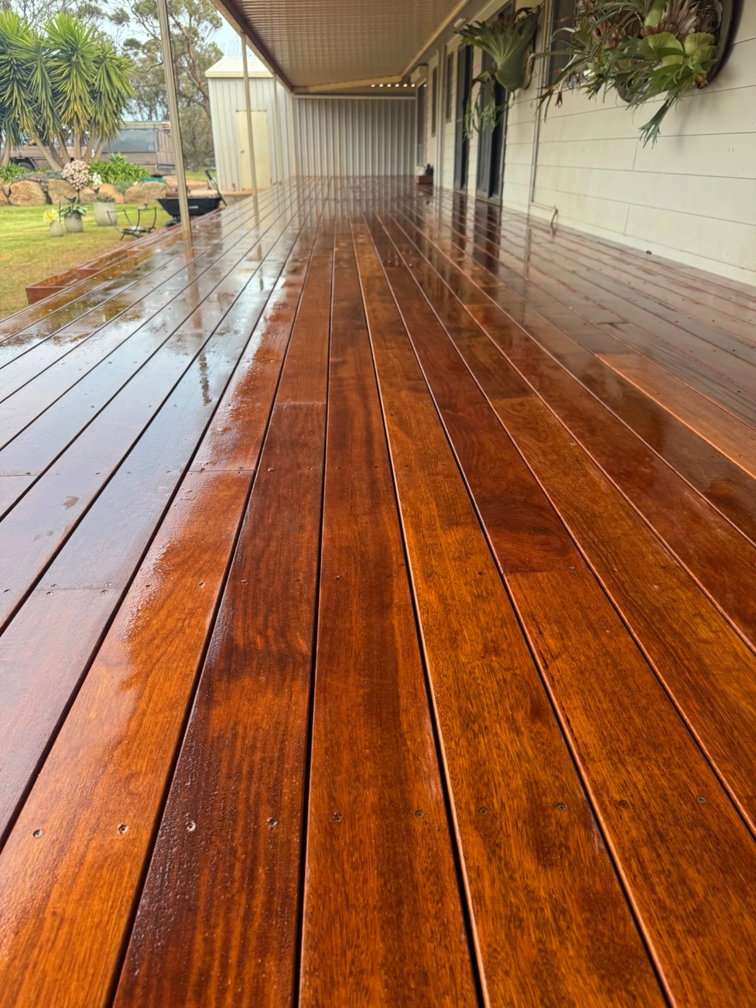 Cockaleechie Deck project image 2